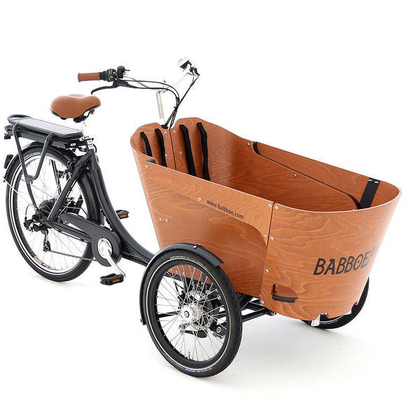 Babboe Carve-E Cargo Bike
