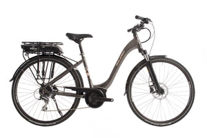 Raleigh Motus Low Step